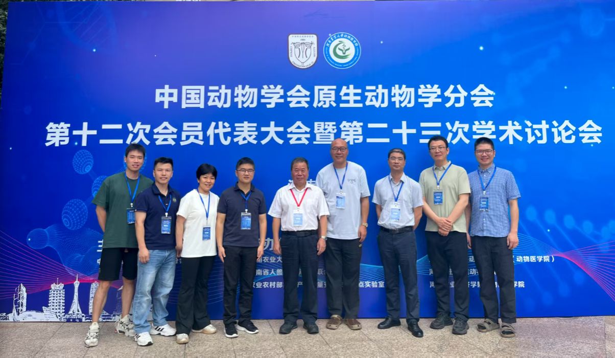 dc125481-6729-4fe9-b002-1000dbe737f2